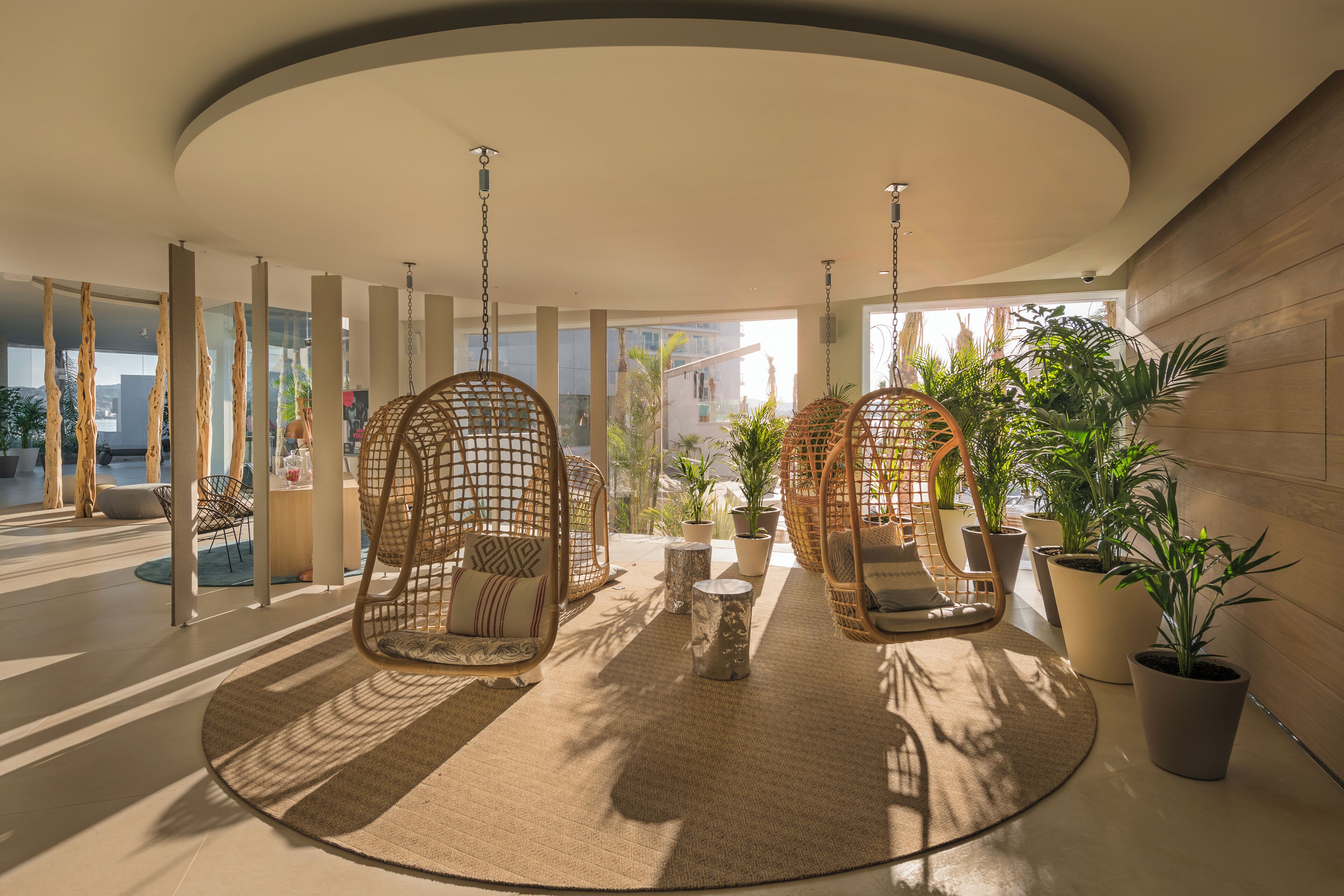 Een moderne lobby met hangende rieten stoelen, potplanten en een rond vloerkleed.