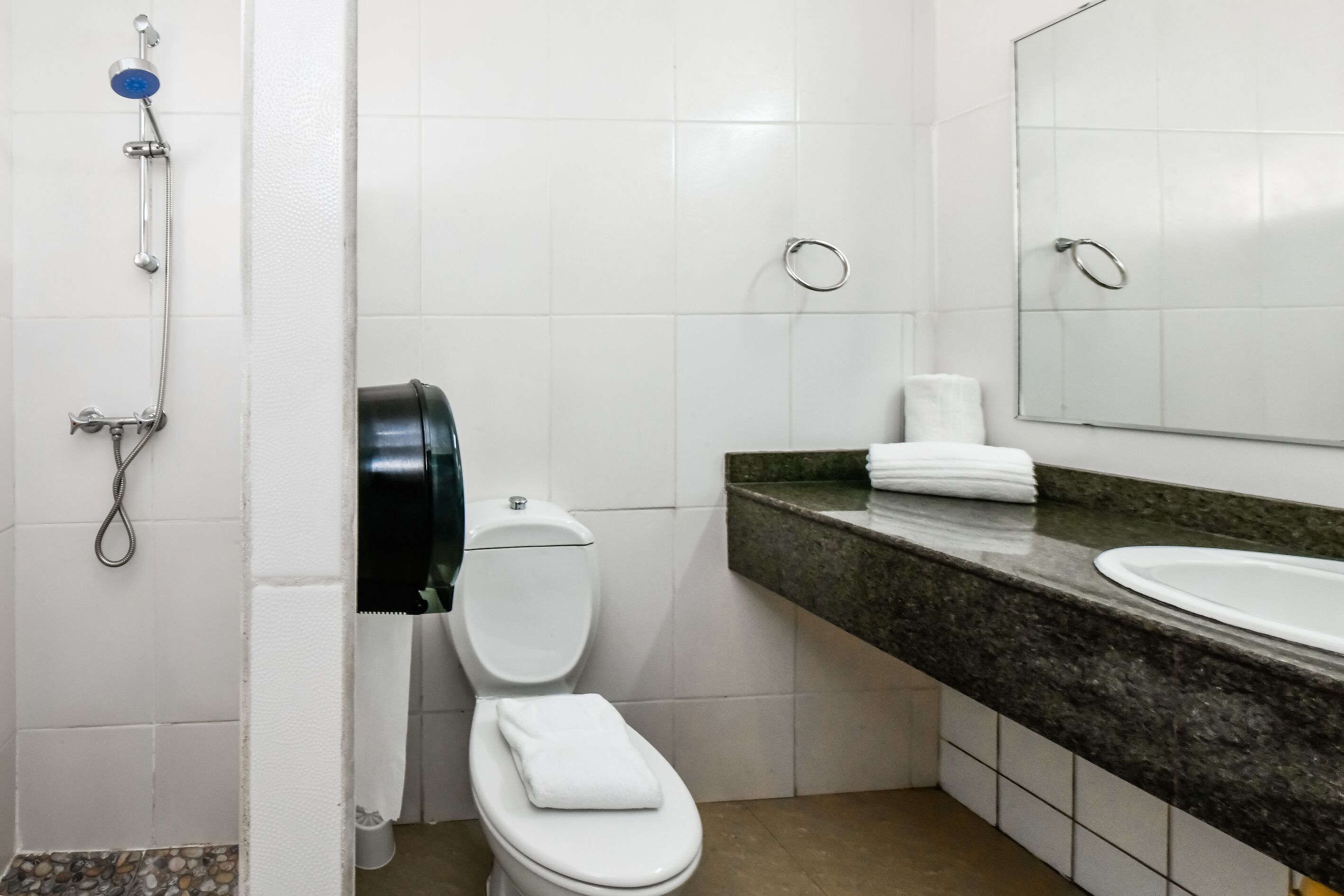 Un baño con inodoro, lavabo, espejo y ducha.
