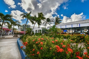 Jardin