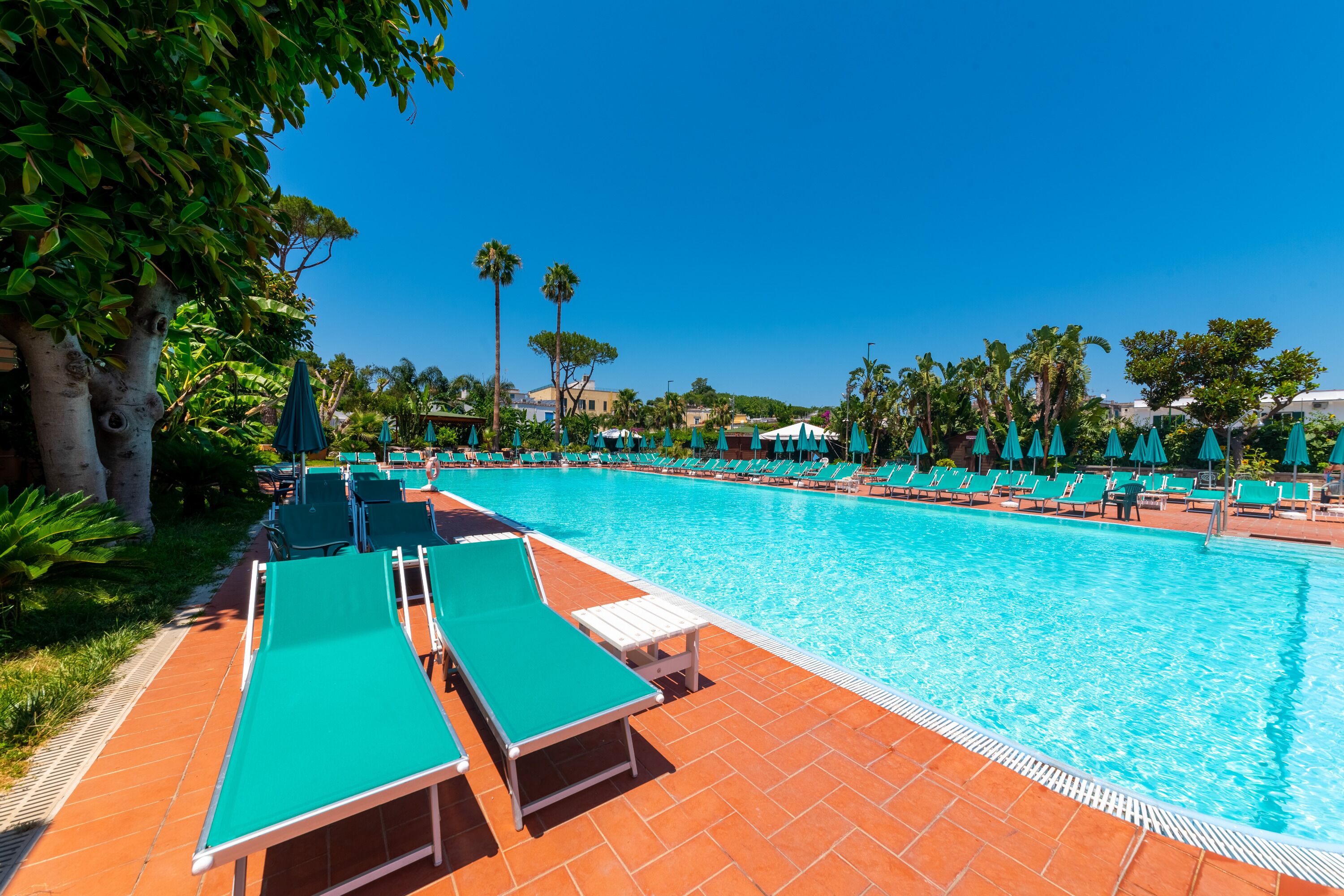 Una piscina con lettini e ombrelloni, circondata da palme e edifici.