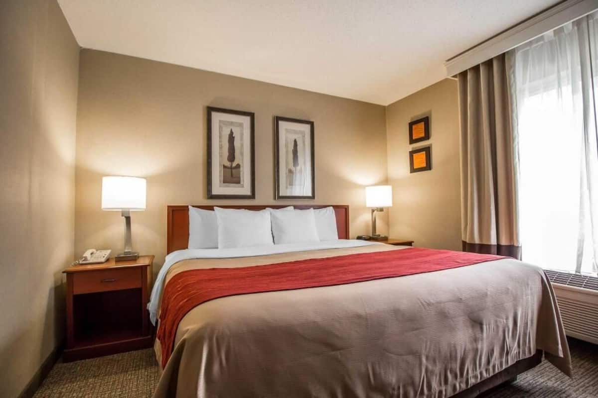 A hotel room with a large bed, two bedside lamps, a telephone, and framed artwork on the wall.