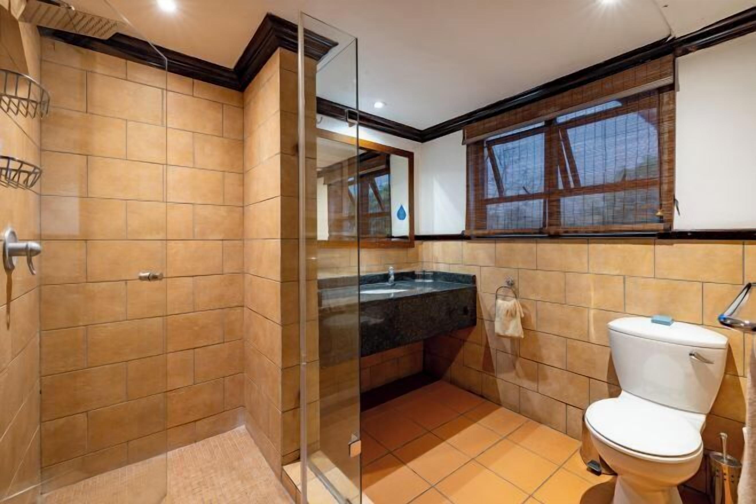 Combined shower/tub, free toiletries, hair dryer, towels