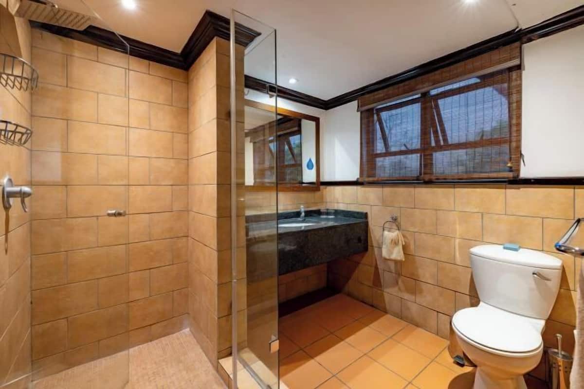 Combined shower/tub, free toiletries, hair dryer, towels