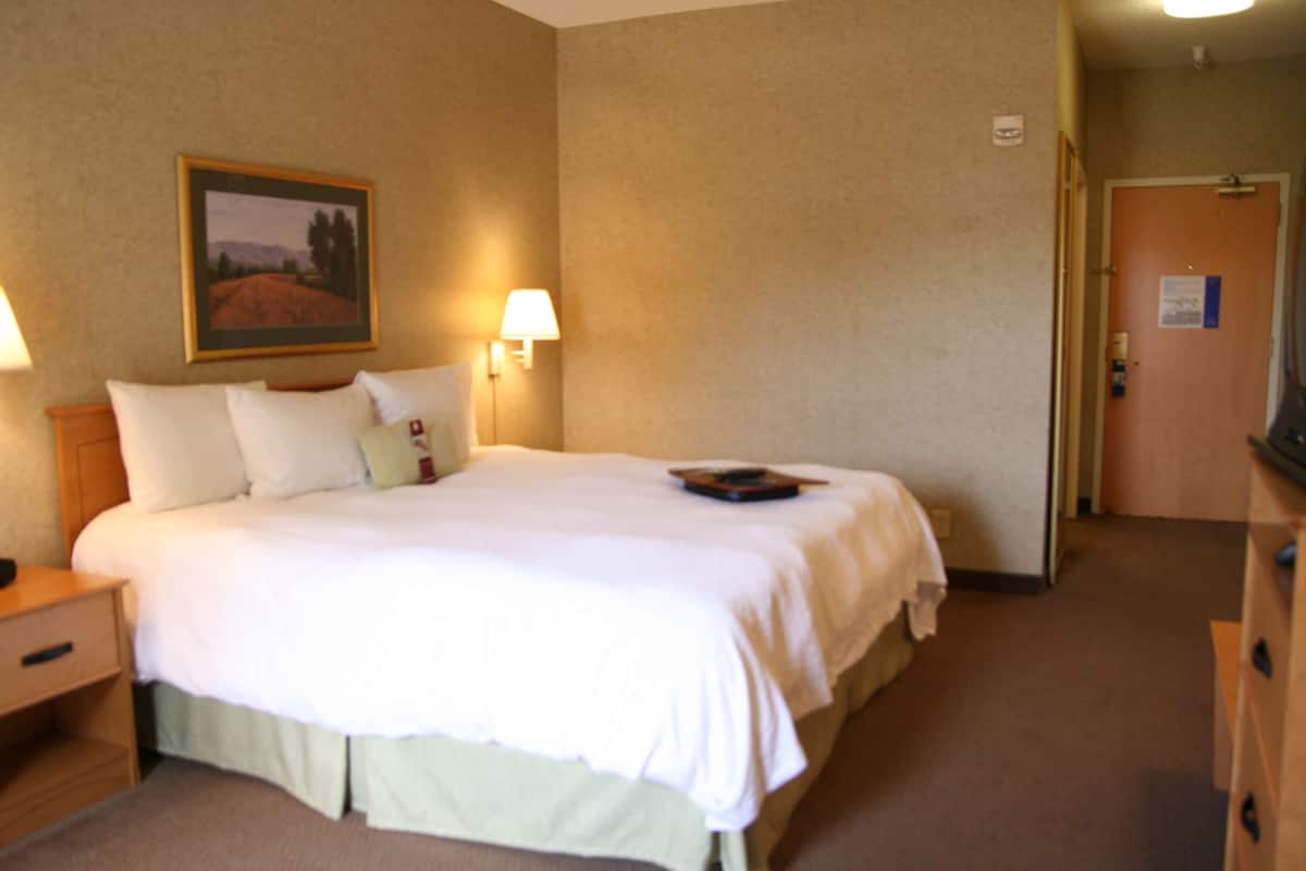 Room | 1 bedroom, desk, iron/ironing board, free WiFi