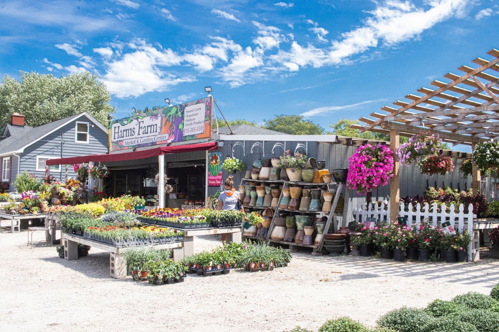 A garden center with a variety of potted plants and flowers on display.