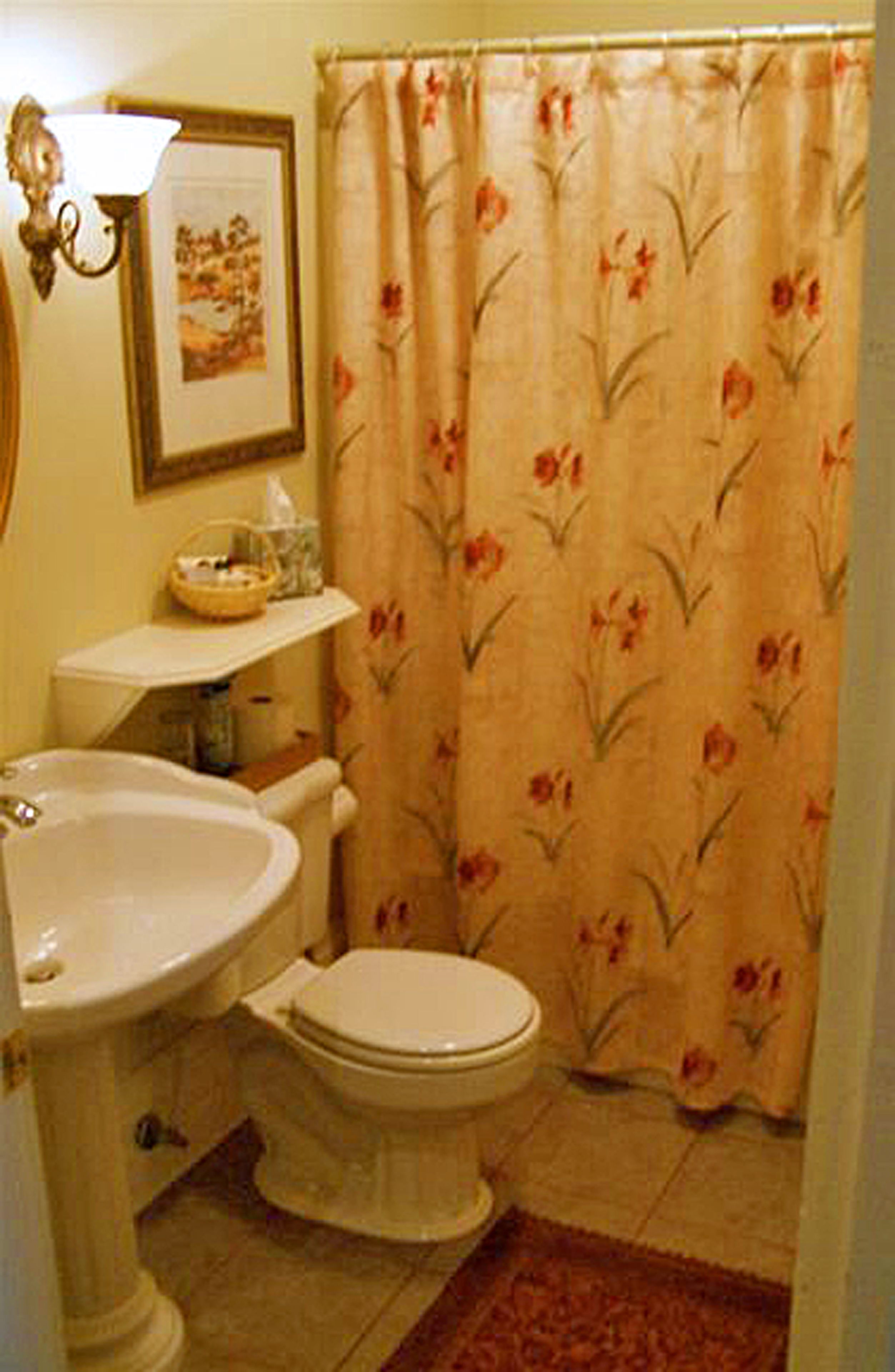 A bathroom with a toilet, sink, and shower curtain.