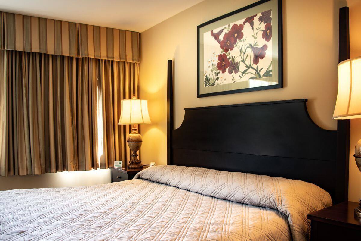 Quarto de hotel com cama, cortinas, mesa de cabeceira, abajur e uma pintura floral emoldurada na parede.
