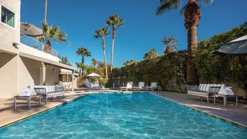 Outdoor pool, sun loungers