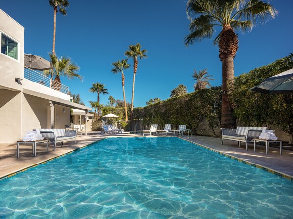 Outdoor pool, sun loungers