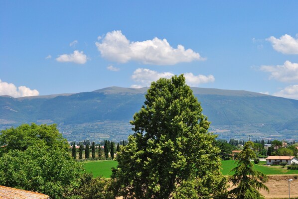 Vue depuis l’hébergement