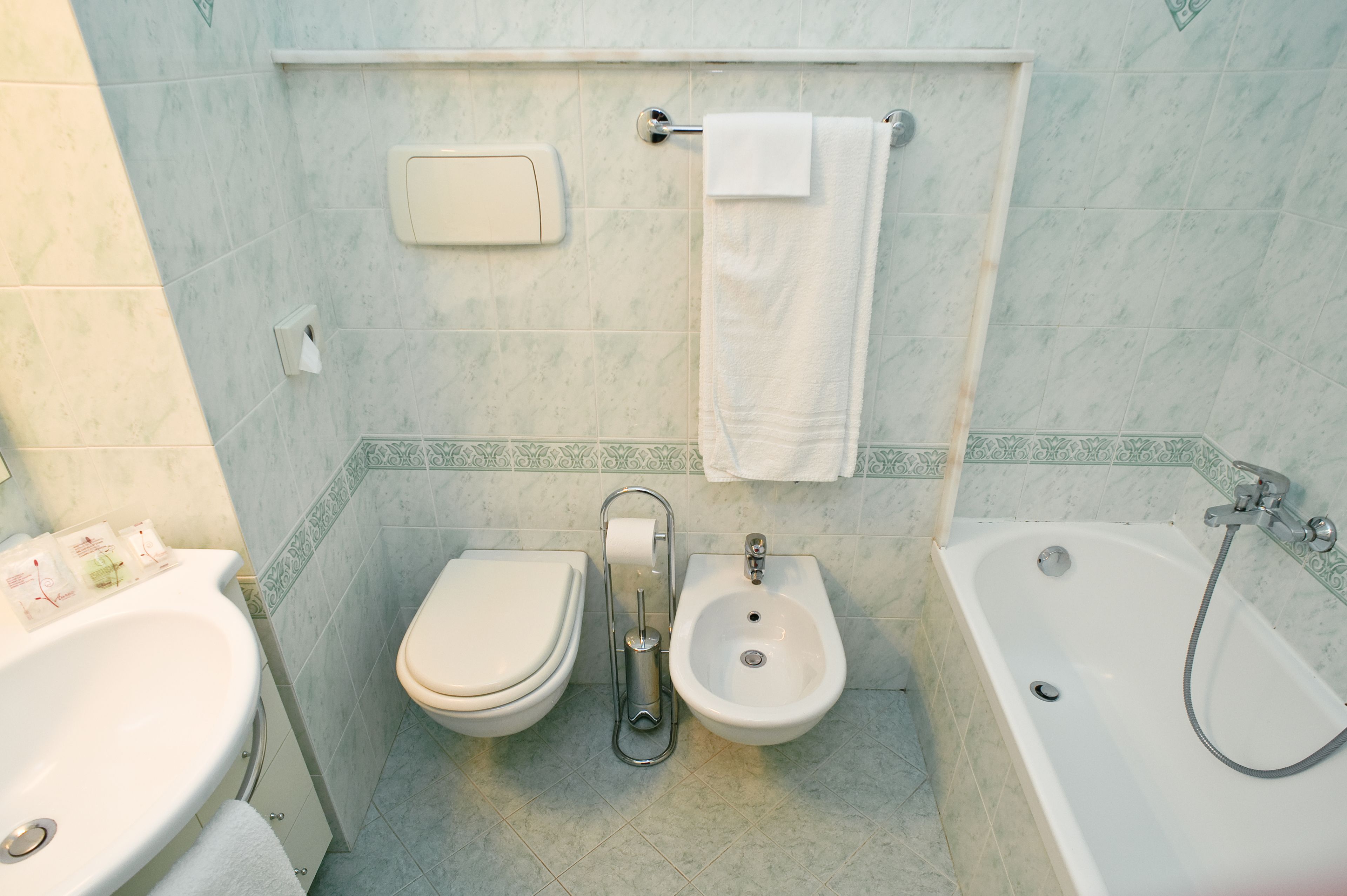 combined shower/bathtub, free toiletries, hair dryer, bidet