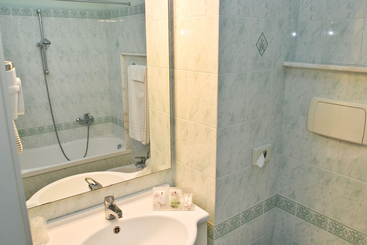 economy room | bathroom | combined shower/bathtub, free toiletries, hair dryer, bidet