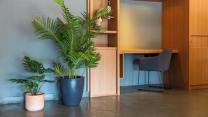 Una habitación moderna con un escritorio de madera, dos plantas en macetas y una silla gris.