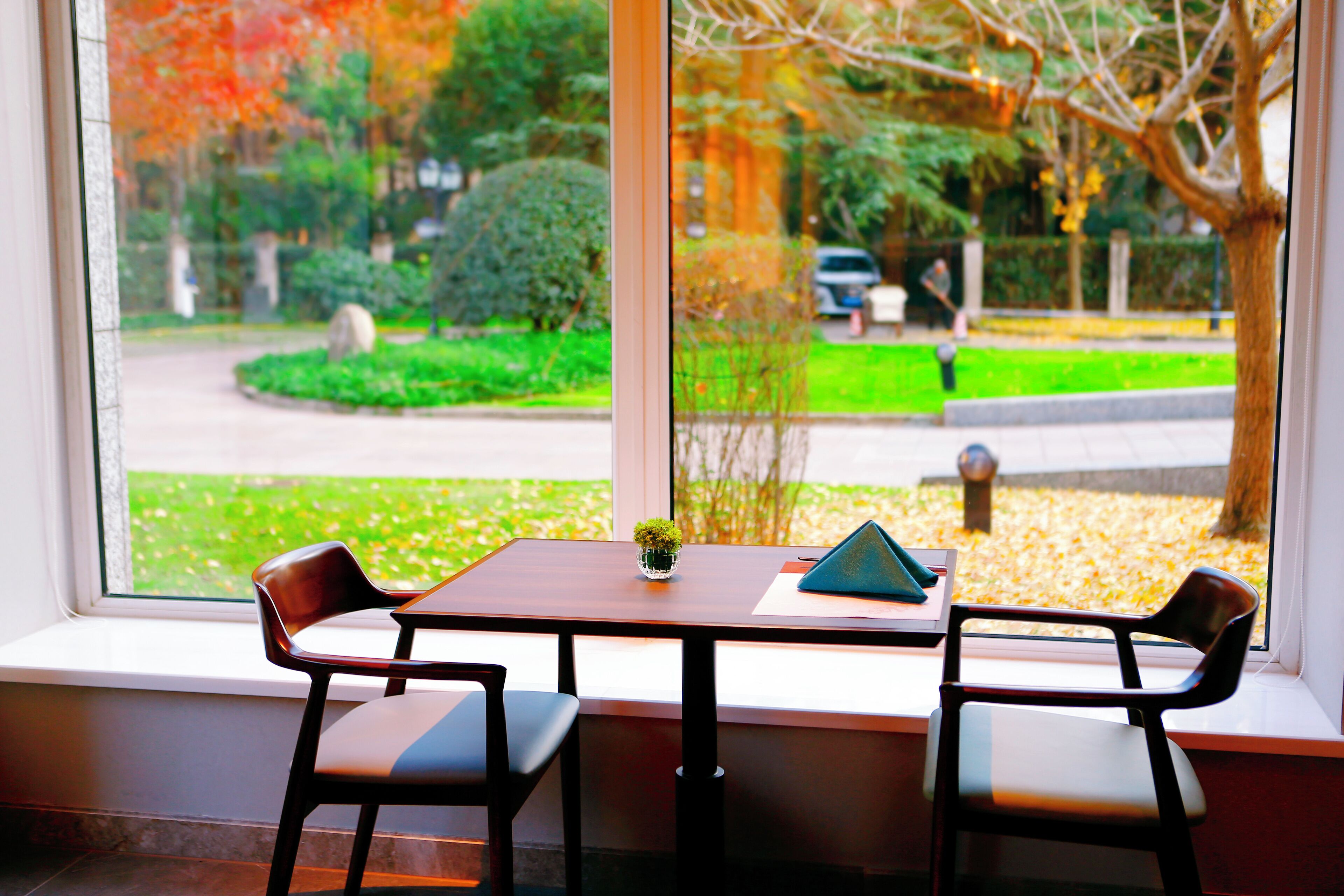 A room with a window overlooking a garden and a street. There is a table with two chairs and a small plant on it.