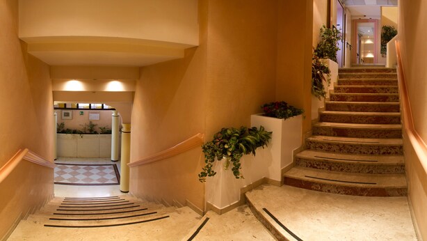 A hotel hallway with a carpeted staircase, a reception area, and a plant on the wall. - Hotel Garibaldi (Mestre)