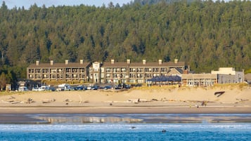 Beach nearby, sun loungers, beach towels