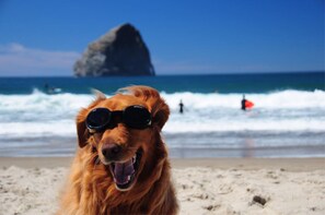 Beach nearby, sun loungers, beach towels - Inn at Cape Kiwanda (Pacific City)