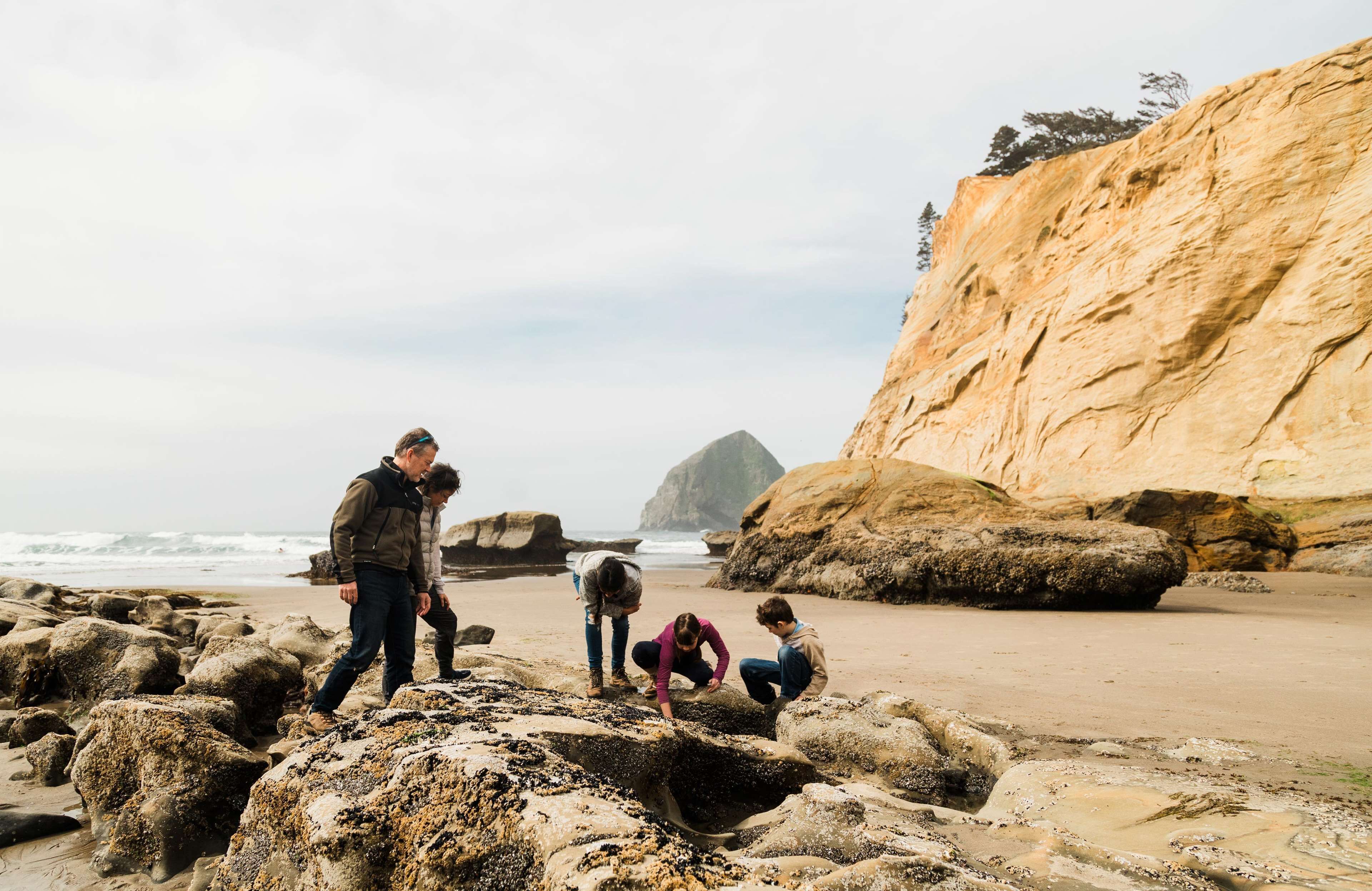 A rocky beach with large boulders and a cliff in the background.