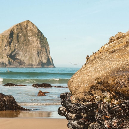 A rocky beach with a prominent rock formation in the background.