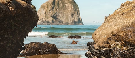 Beach nearby, sun loungers, beach towels