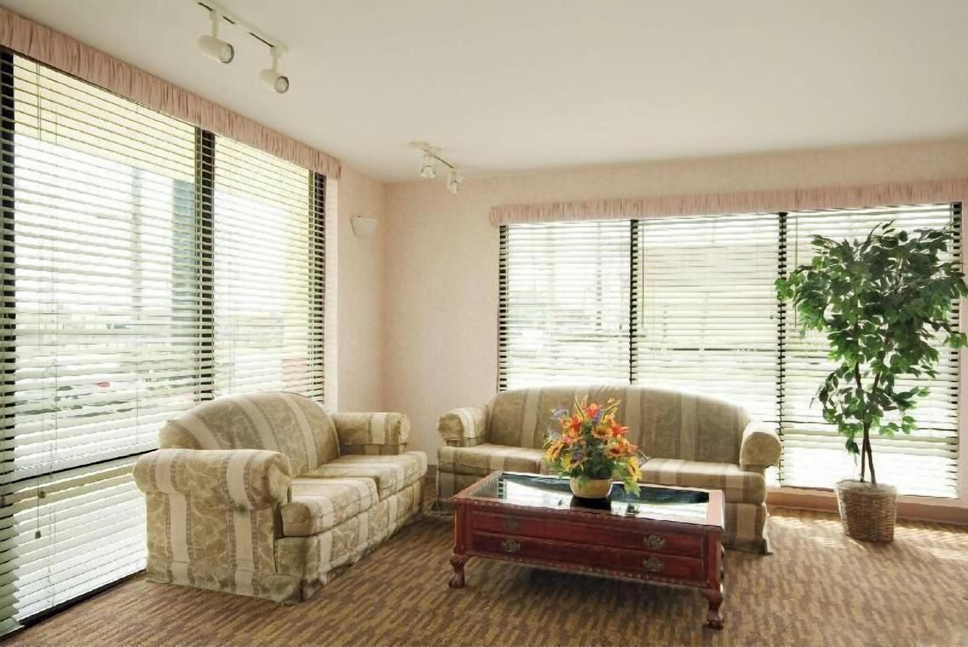Living area | TV