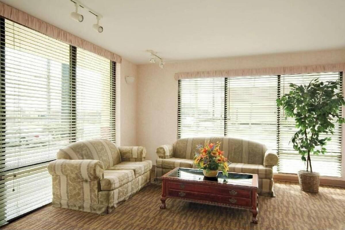A living room with two sofas, a coffee table, and a potted plant.