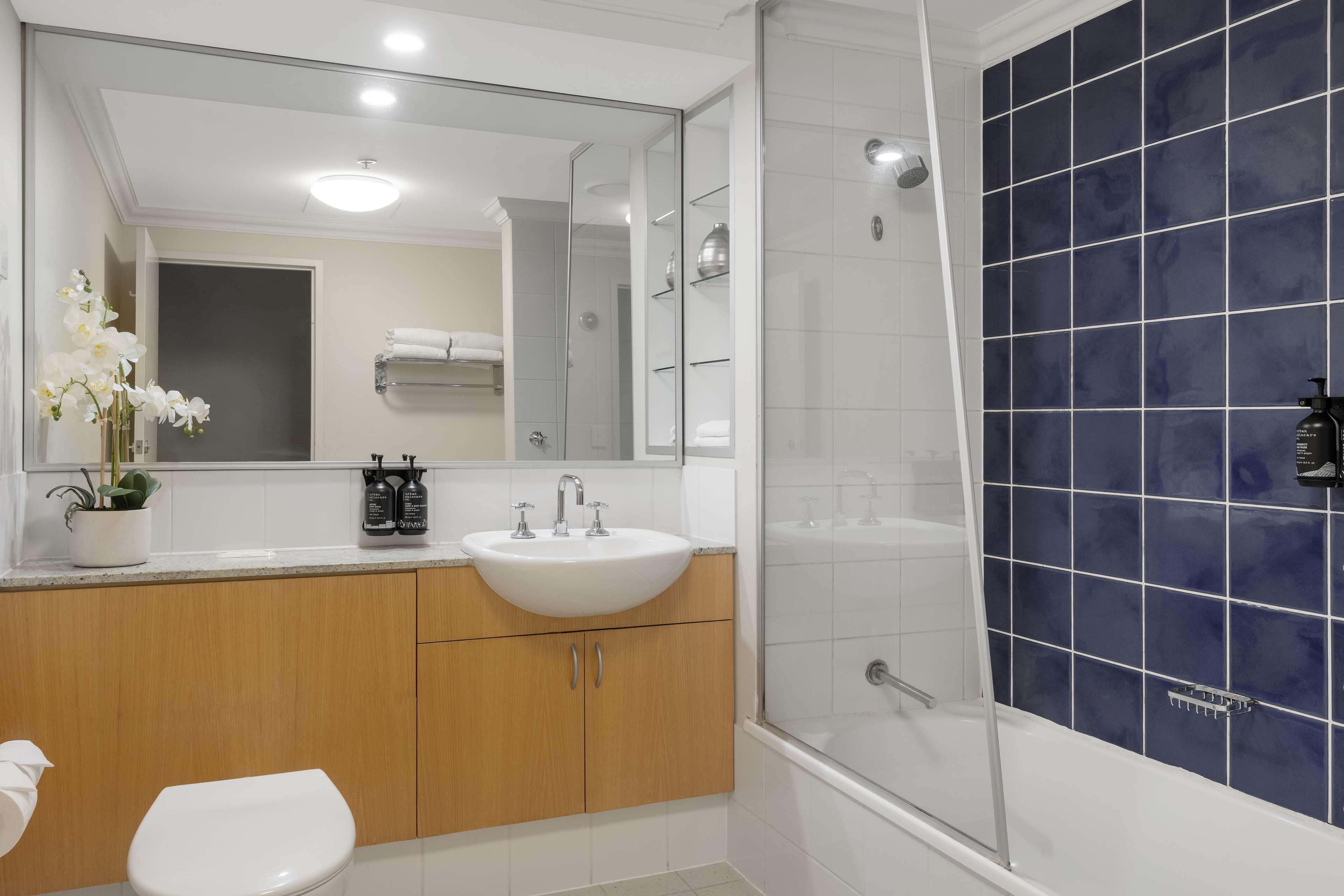 combined shower/bathtub, free toiletries, hair dryer, towels