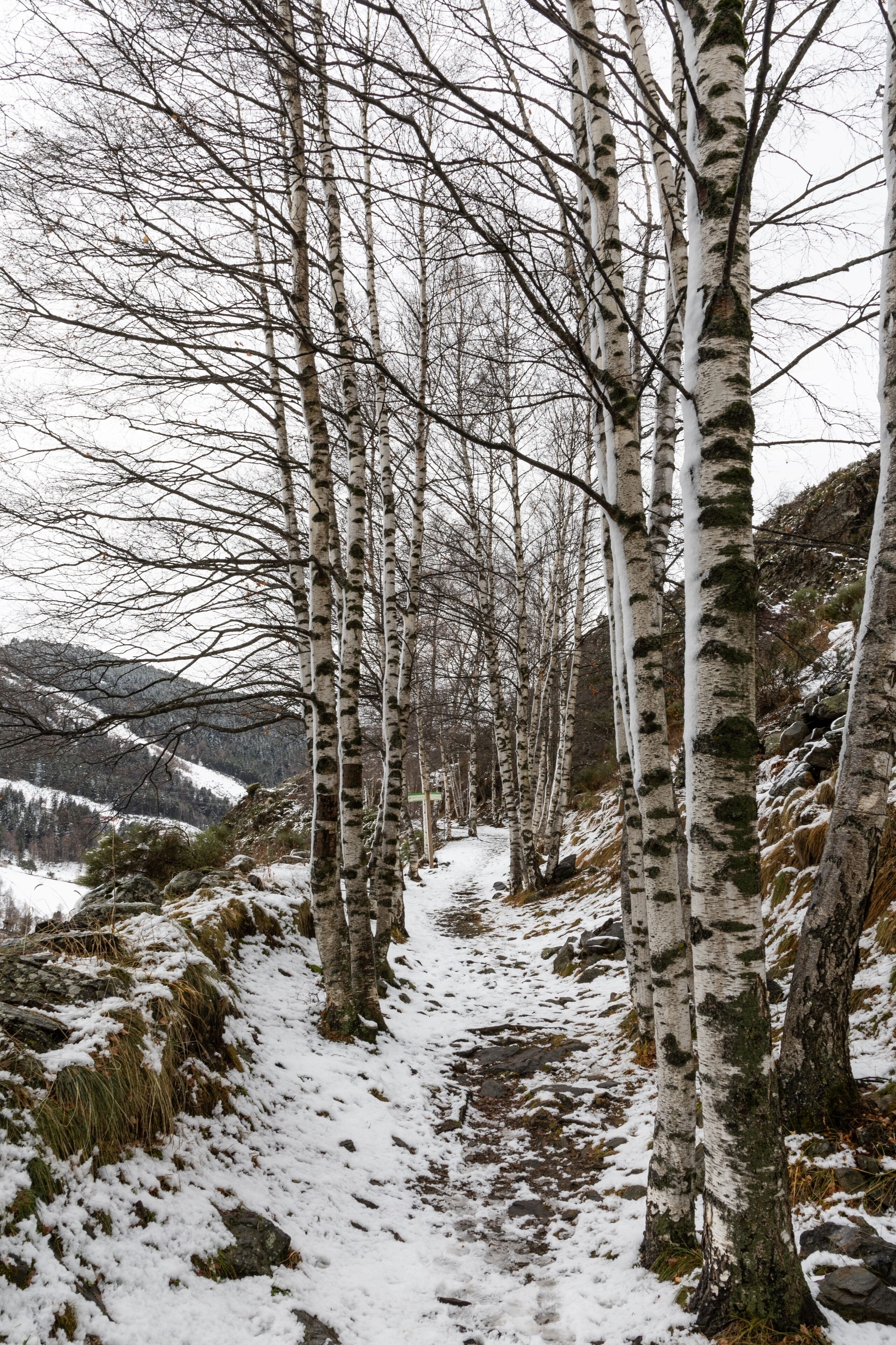 Photo - Hotel Euroski Mountain Resort & Spa