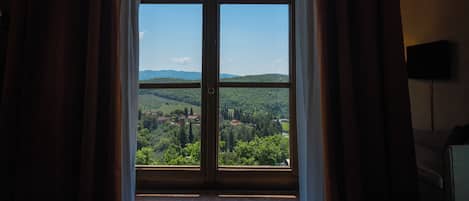 Deluxe Room | Vineyard view