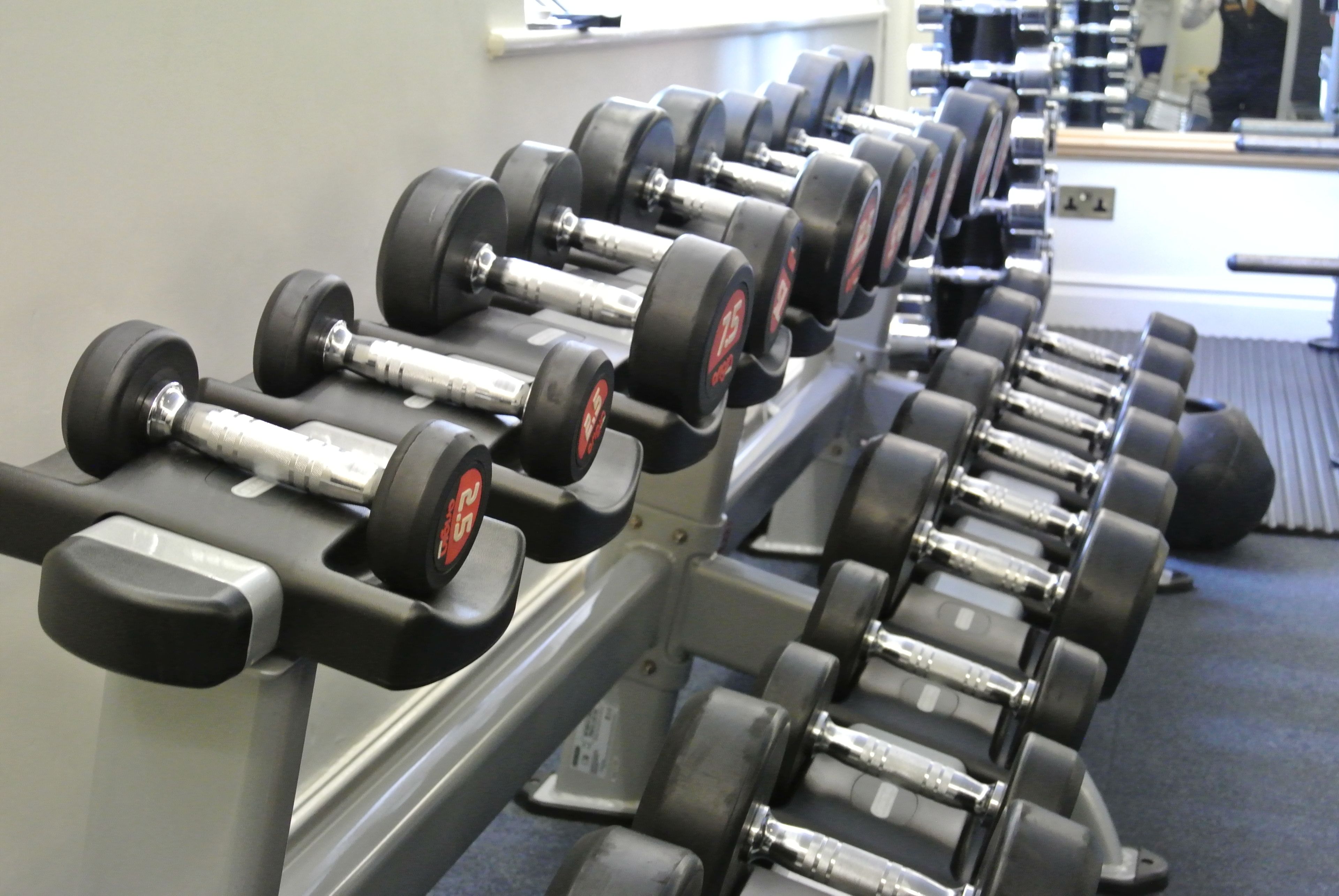 A row of black dumbbells on a rack in a gym.