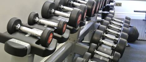 A row of black dumbbells on a rack in a gym.