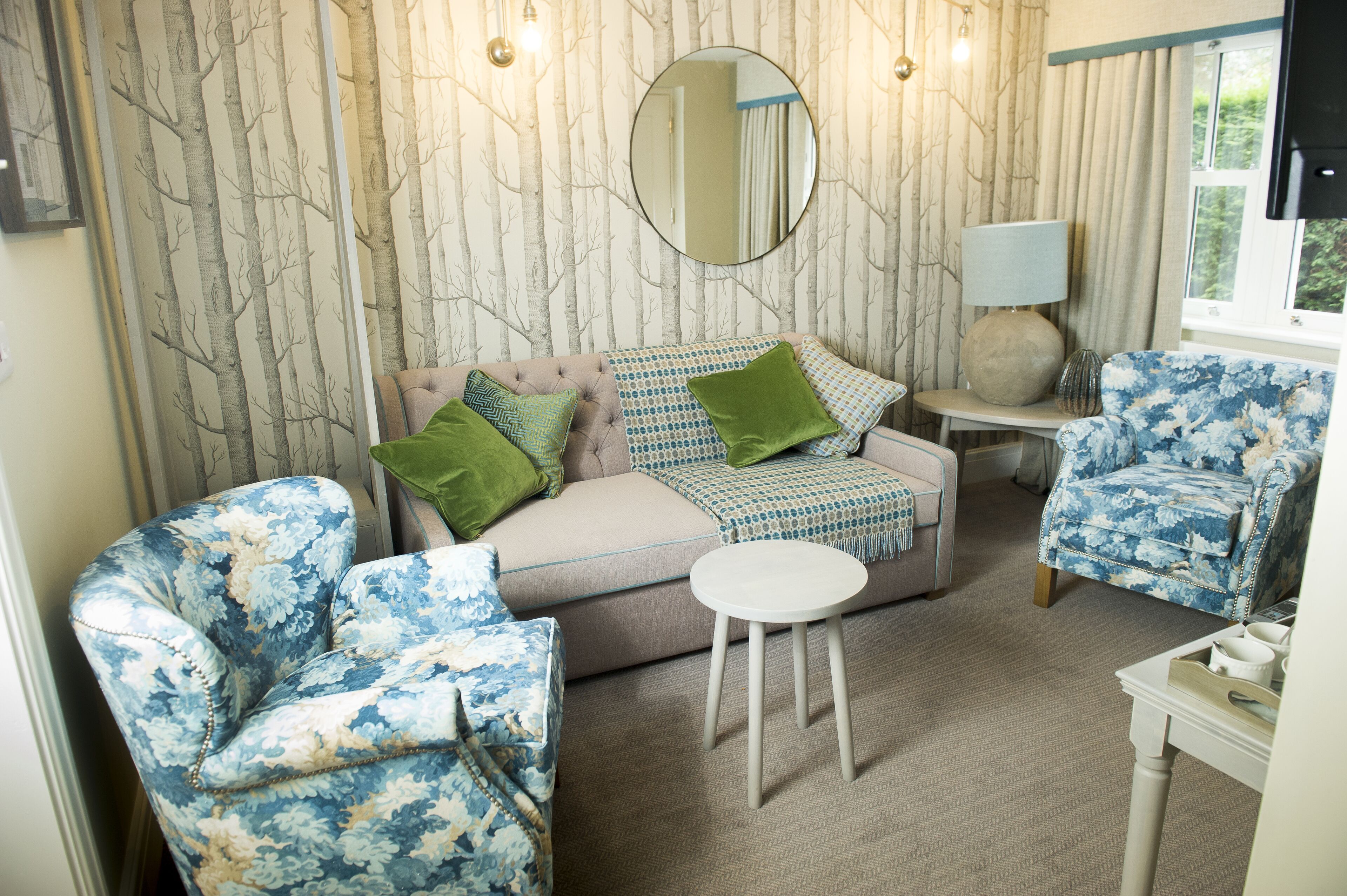 executive suite, 1 king bed (green lane suite) | living area | plasma tv