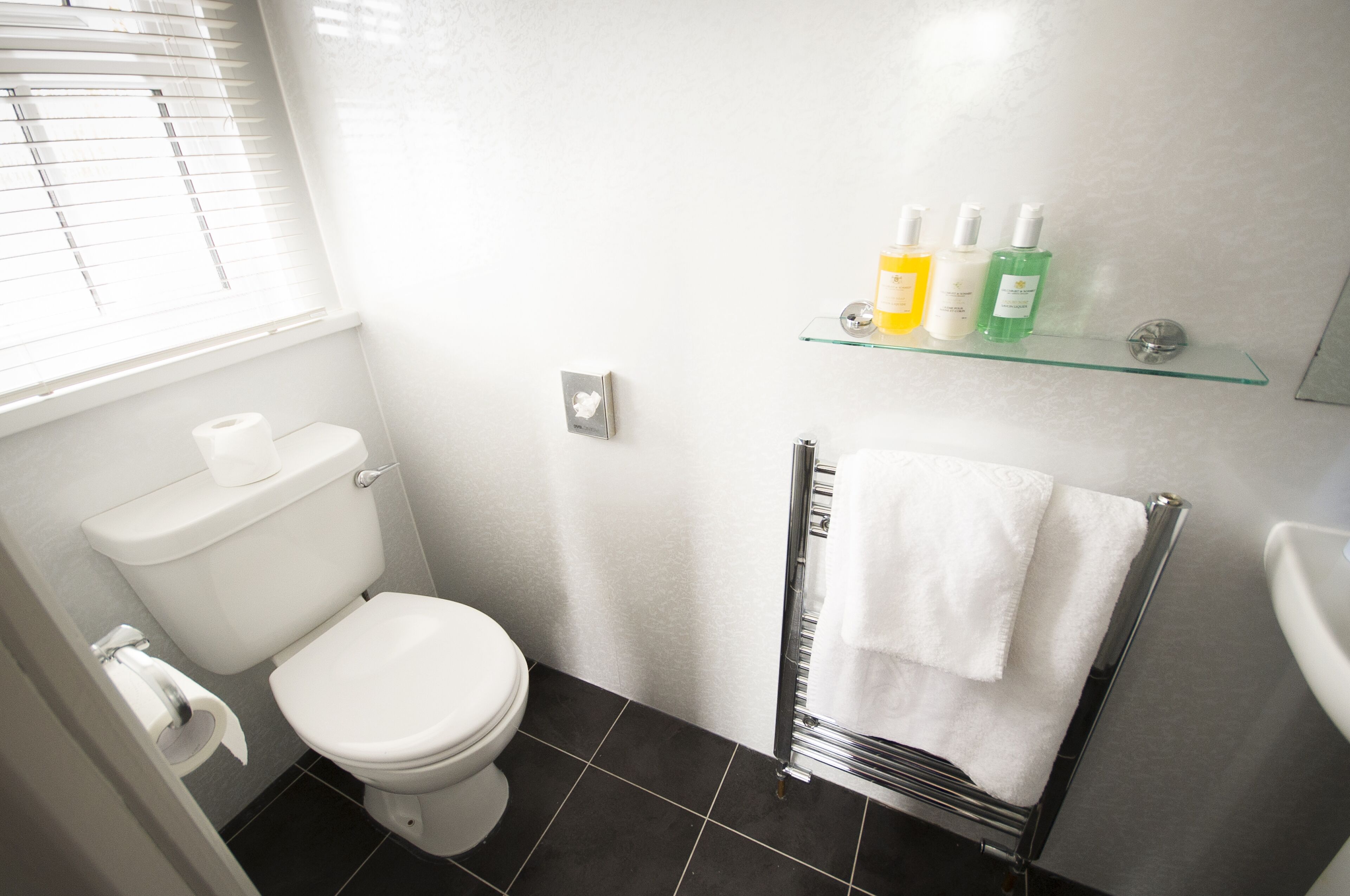 A bathroom with a toilet, a glass shelf with toiletries, a towel rack, and a sink.