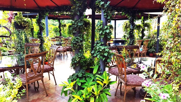 Garden - Hotel Guatemala Inn (Guatemala City)