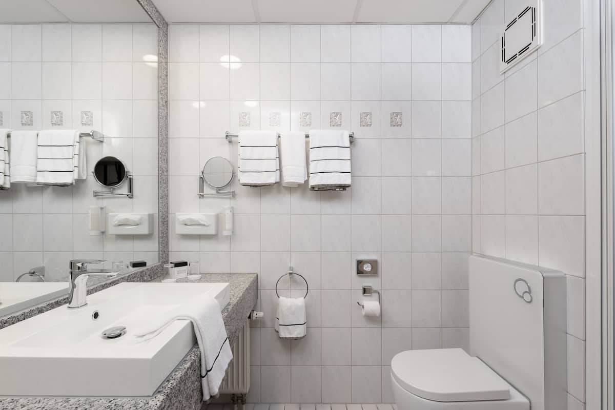 shower, free toiletries, hair dryer, slippers