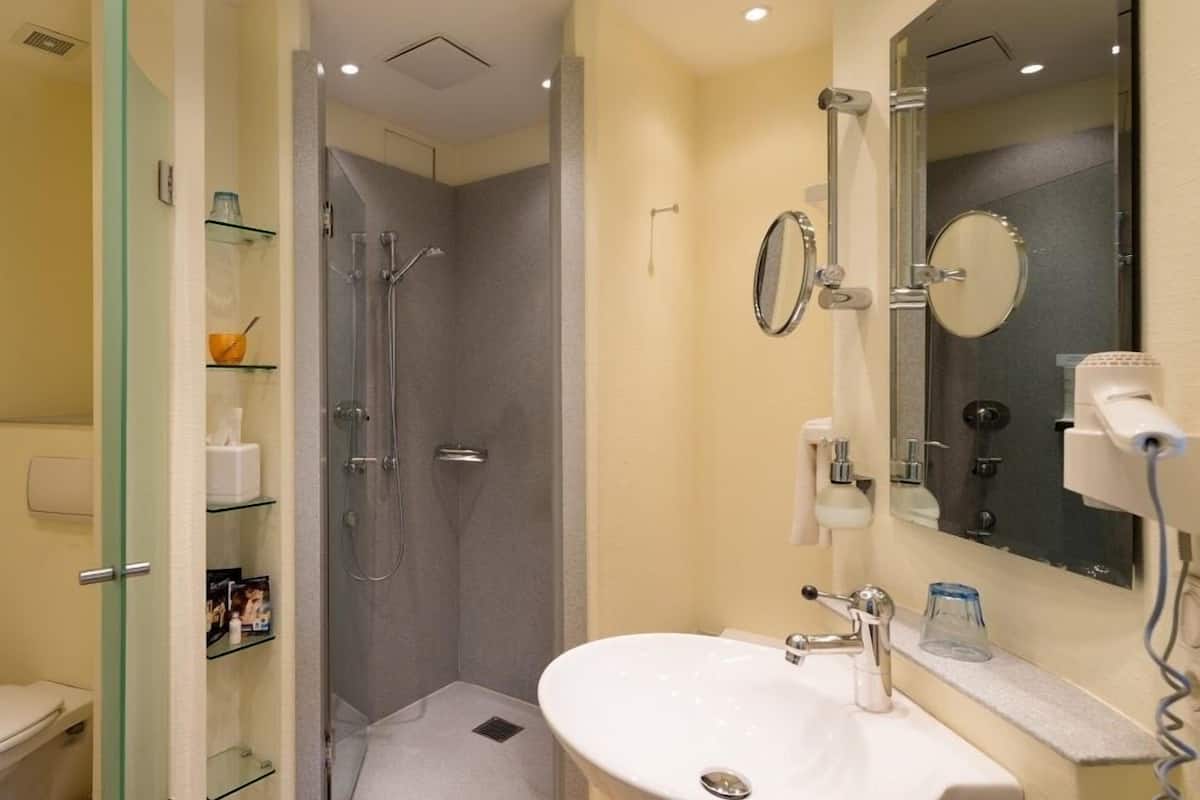 single room (budget) | bathroom | free toiletries, hair dryer, towels