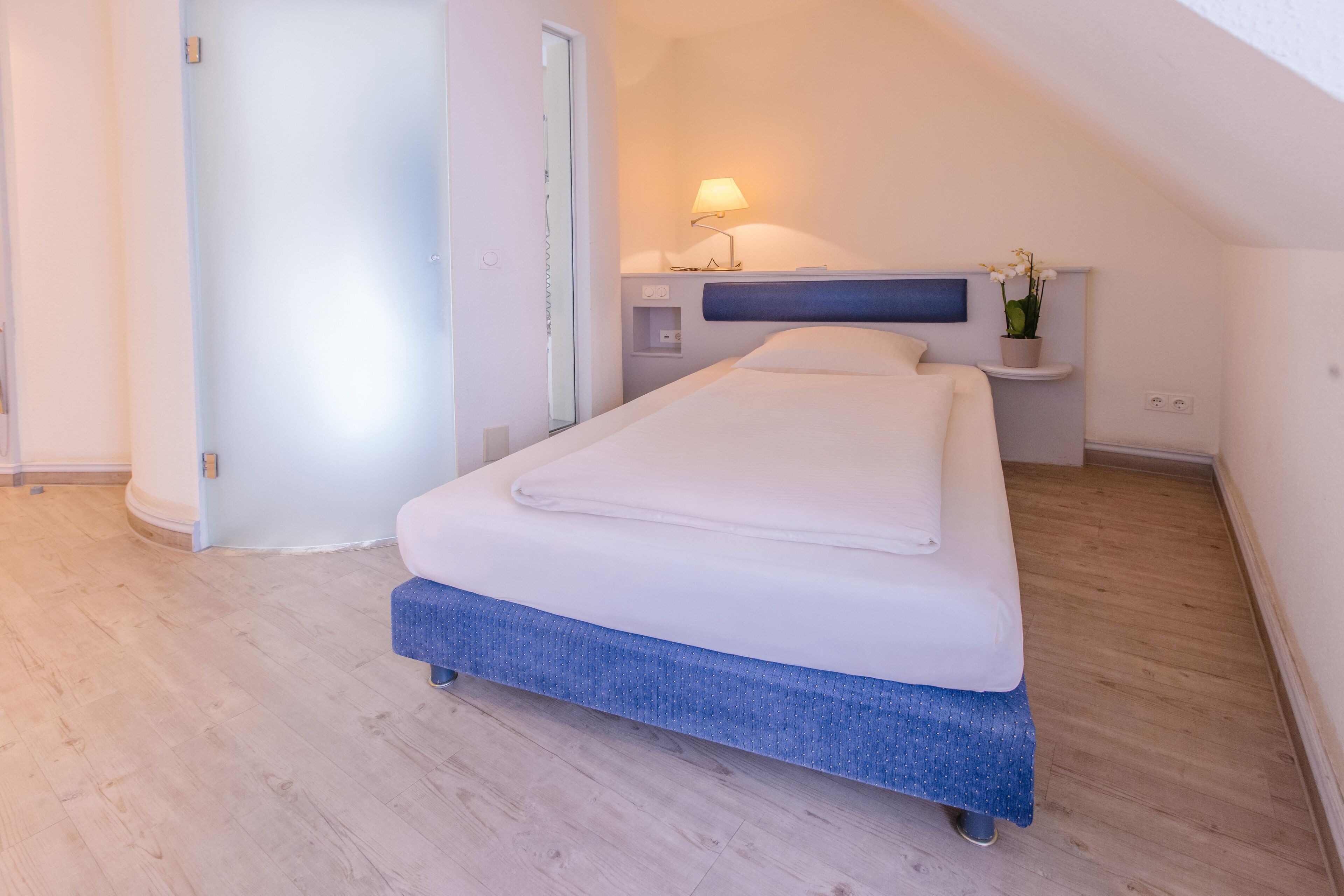 single room (budget) | 1 bedroom, premium bedding, in-room safe, desk