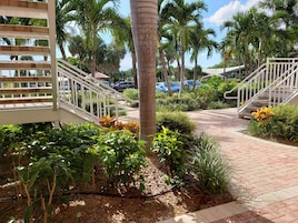 King Studio | View from room