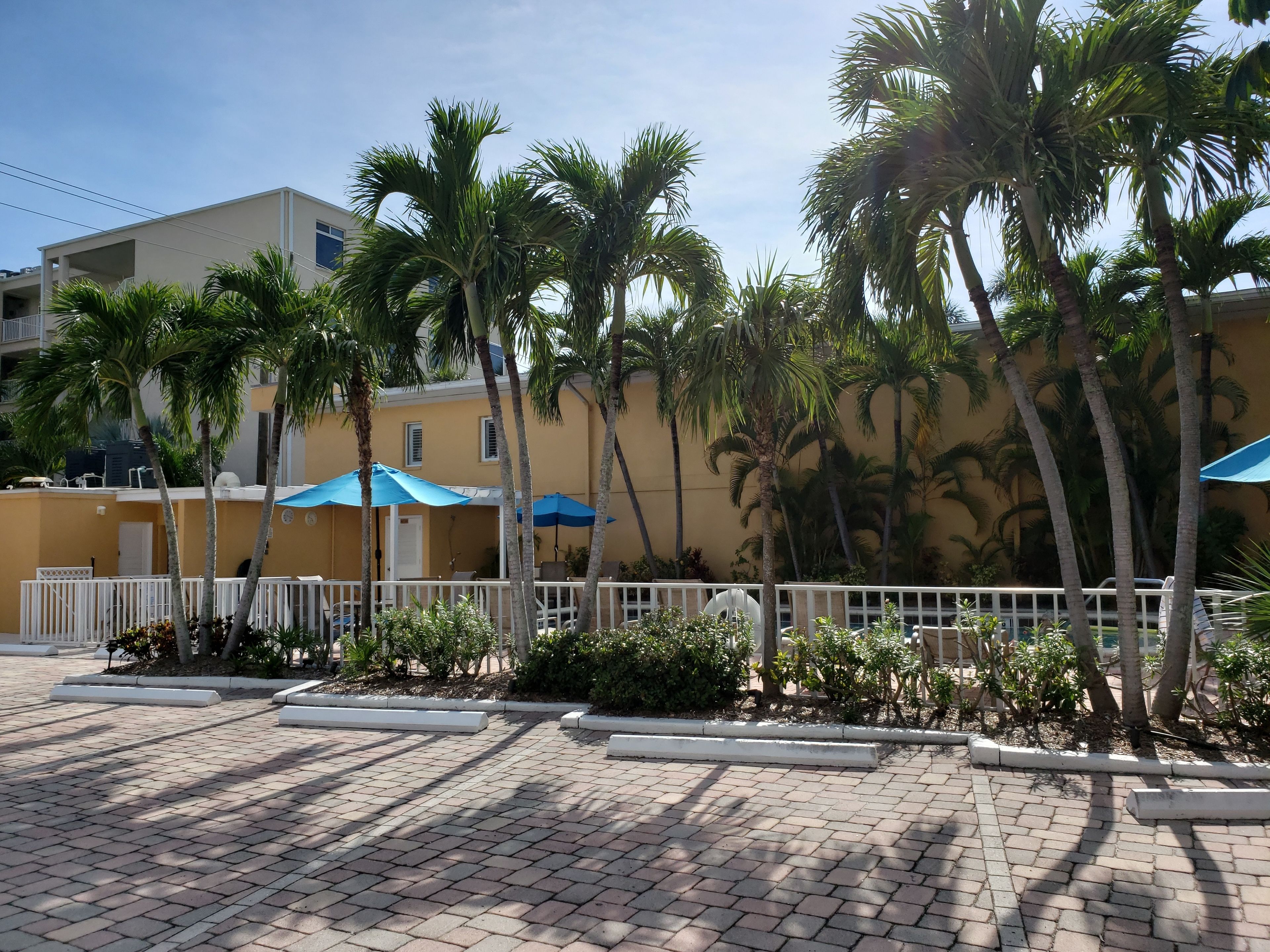 A paved outdoor area with palm trees, a yellow building, and blue umbrellas.