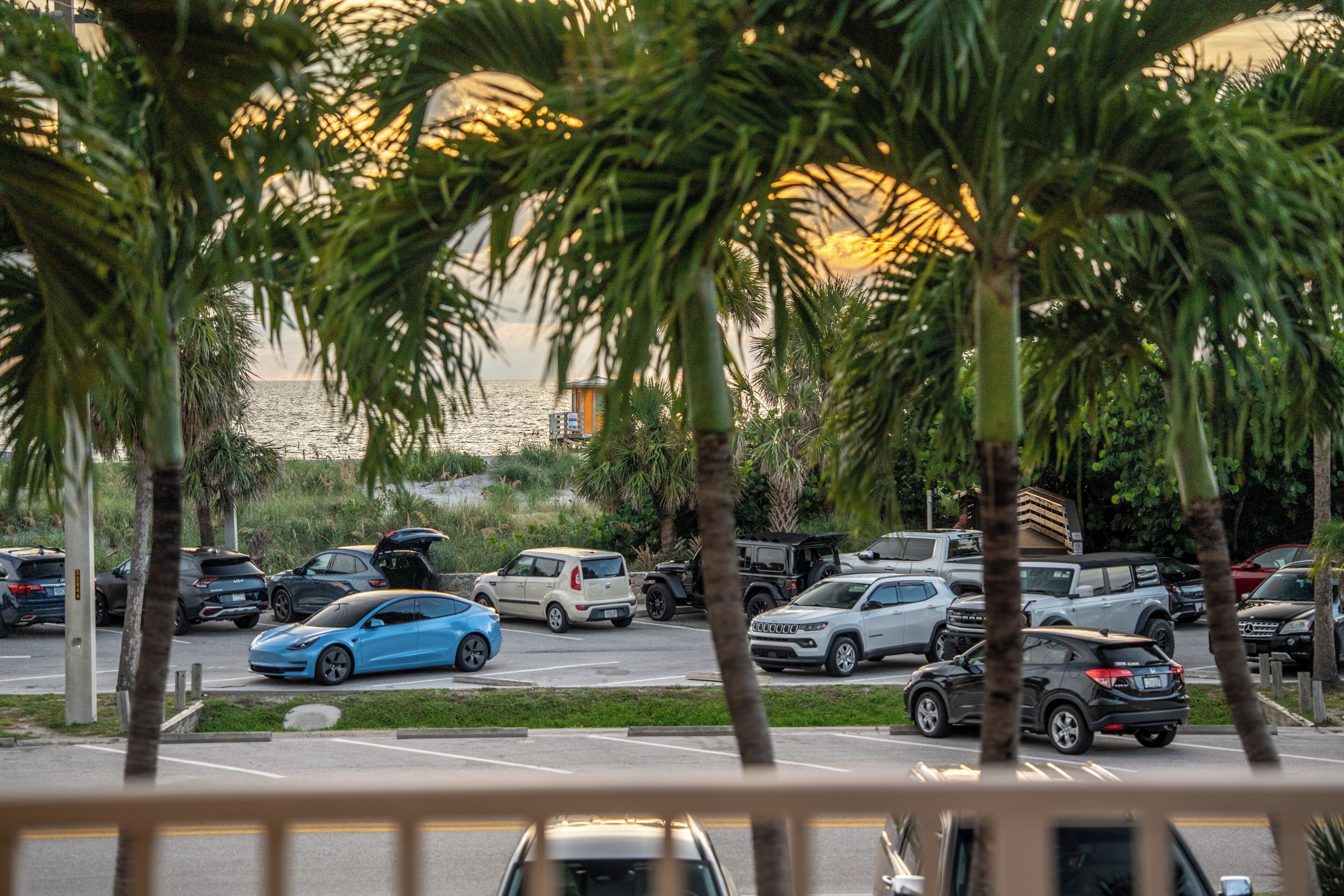 A parking lot with various vehicles, including cars and SUVs, and palm trees in the foreground.