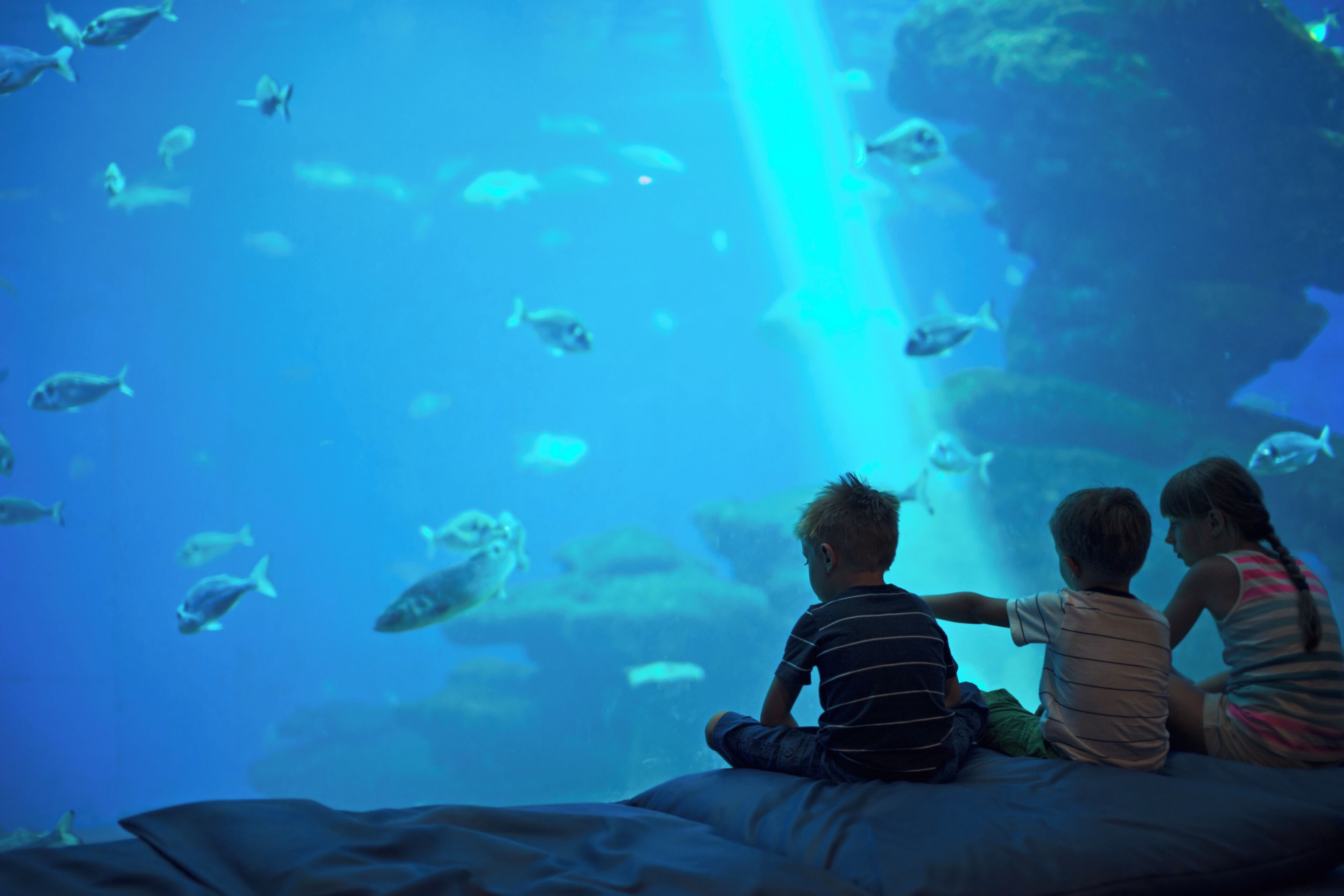 Foto - Seattle Marriott Waterfront