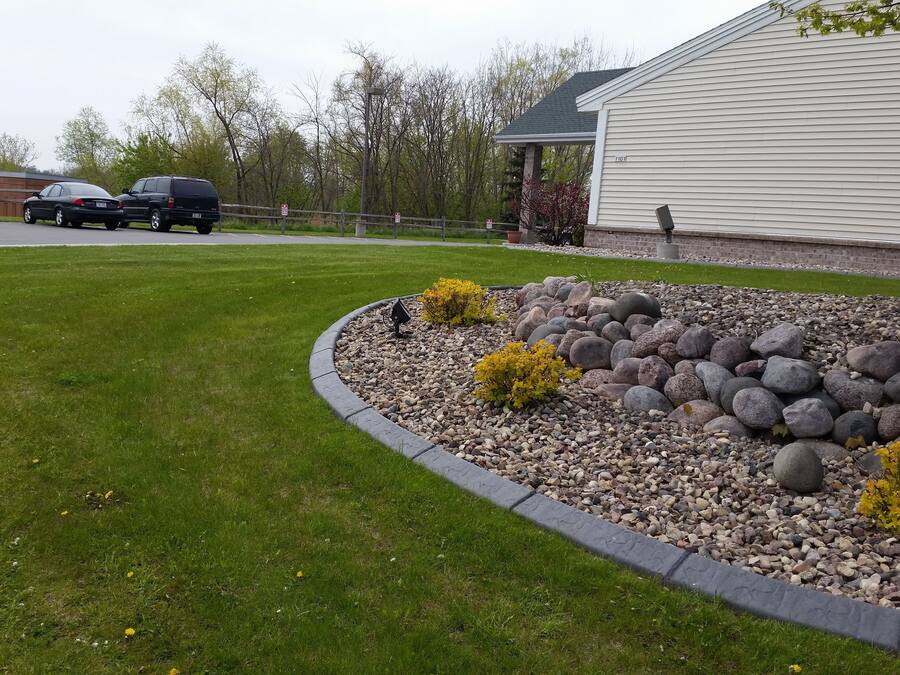 A landscaped garden with a rock border and yellow shrubs.
