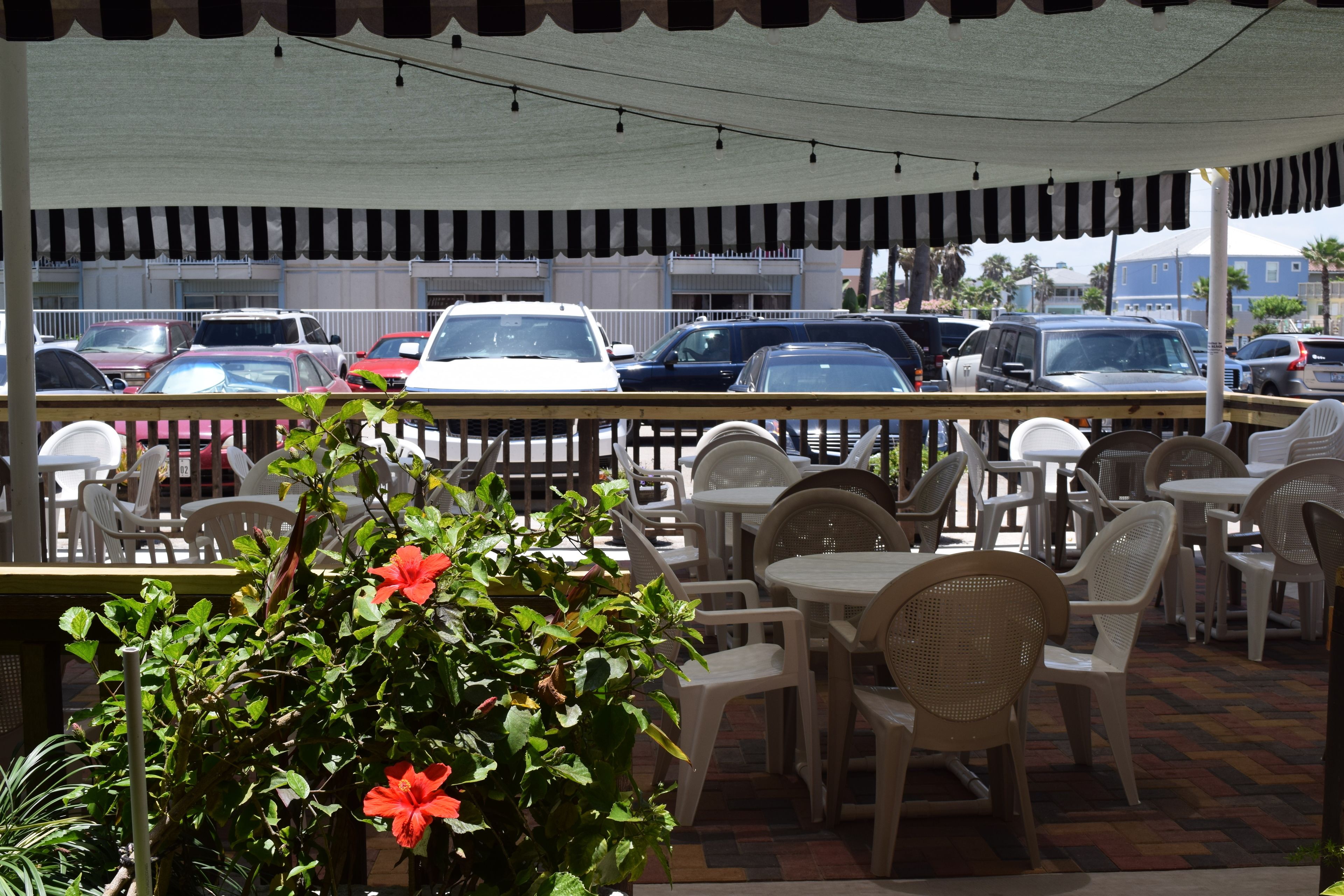 lunch, dinner served; american cuisine, beach views