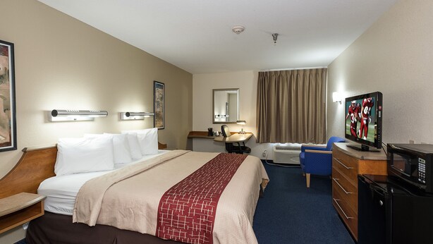 A hotel room with a bed, a desk with a television, a chair, a desk lamp, and a window with curtains. - Red Roof Inn Jackson, OH (Jackson)