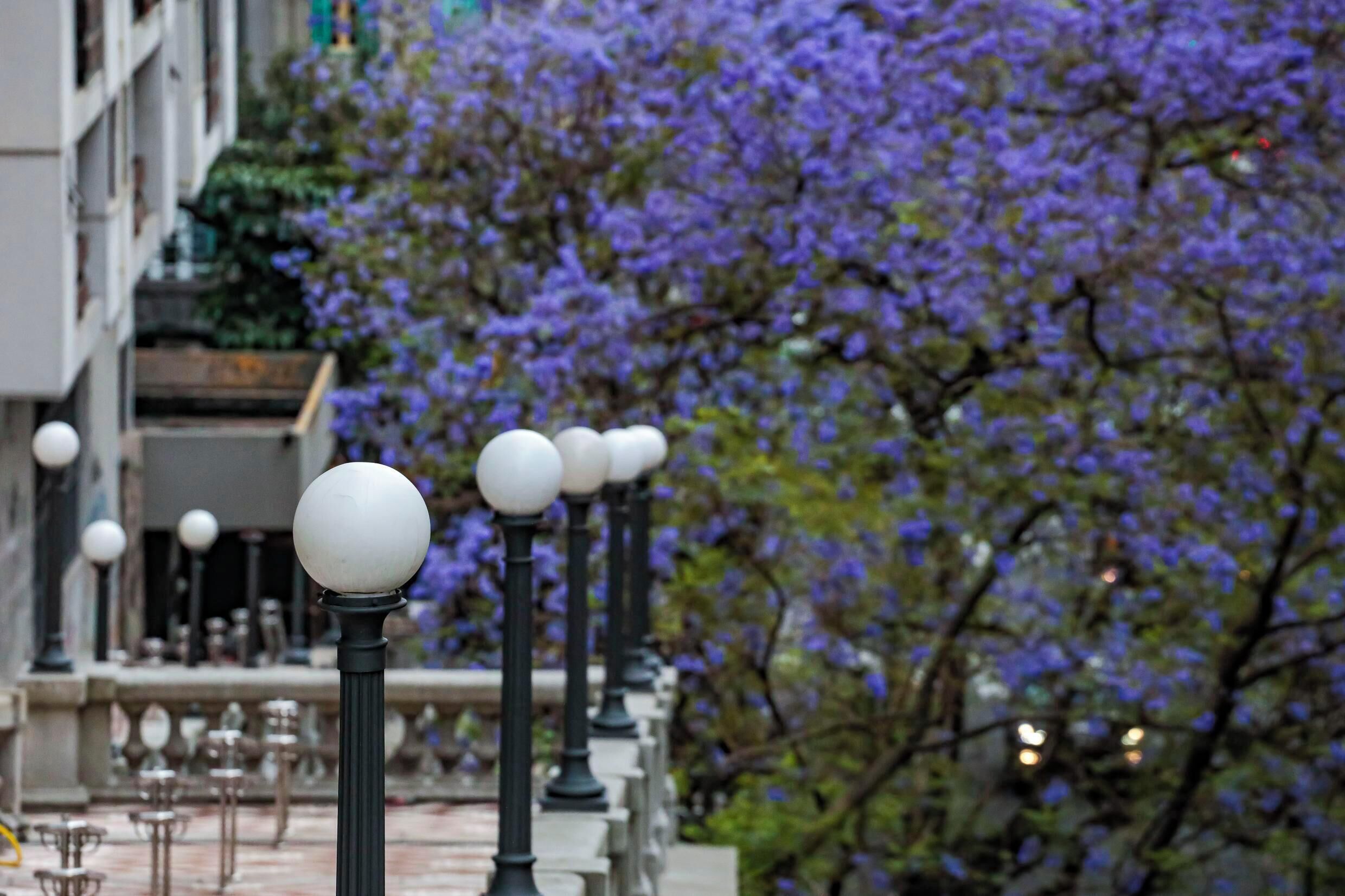 Foto - Slaviero Hotel Porto Alegre Moinhos