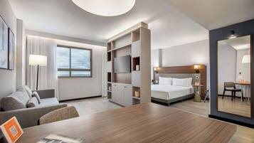 Executive Junior Suite King Accesible | View from room