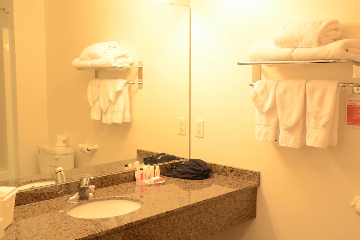 room, 1 queen bed, accessible | bathroom | combined shower/bathtub, free toiletries, hair dryer, towels