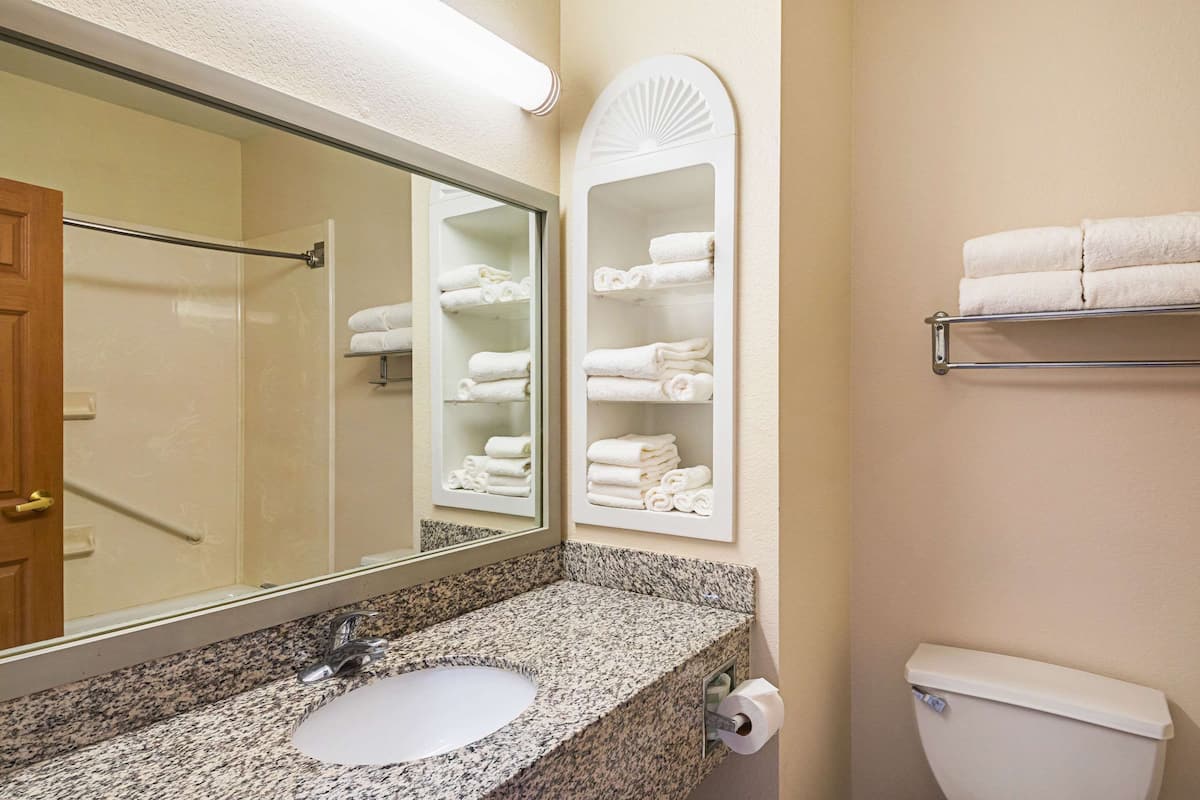 standard room, 1 king bed, non smoking | egyptian cotton sheets, premium bedding, down duvets, in-room safe