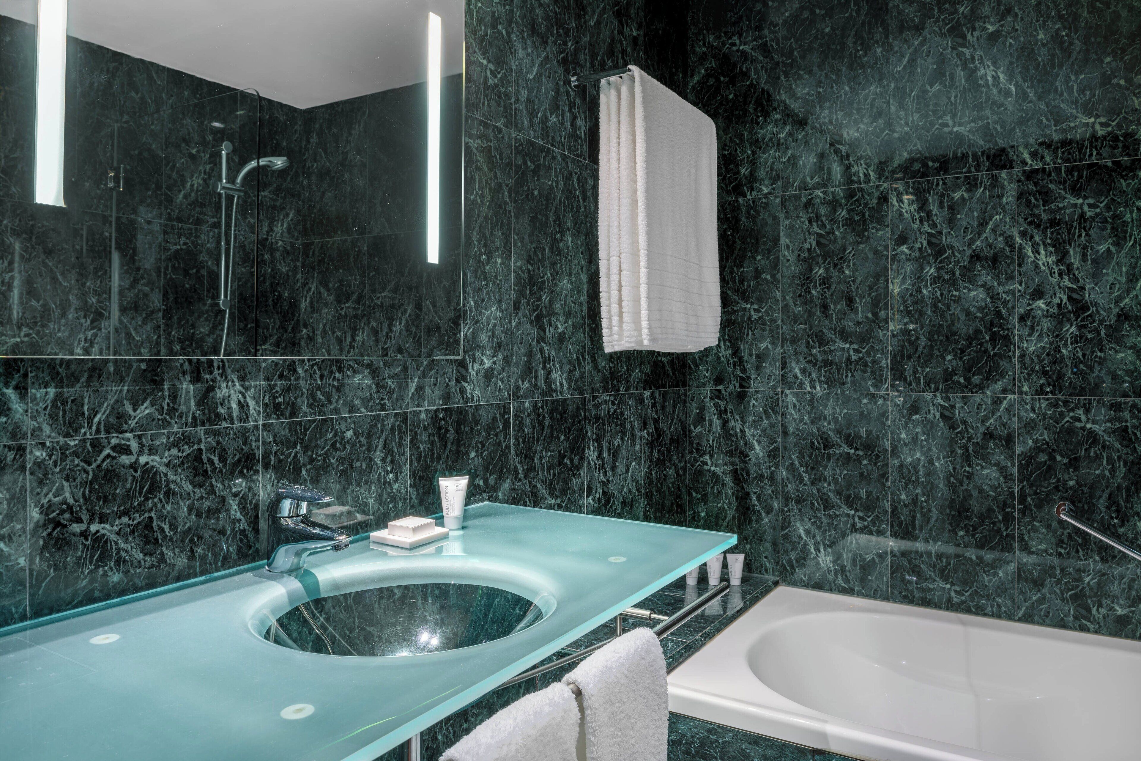 combined shower/bathtub, free toiletries, hair dryer, bidet