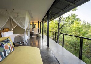 Luxury Bush View Suite | Vista dalla camera